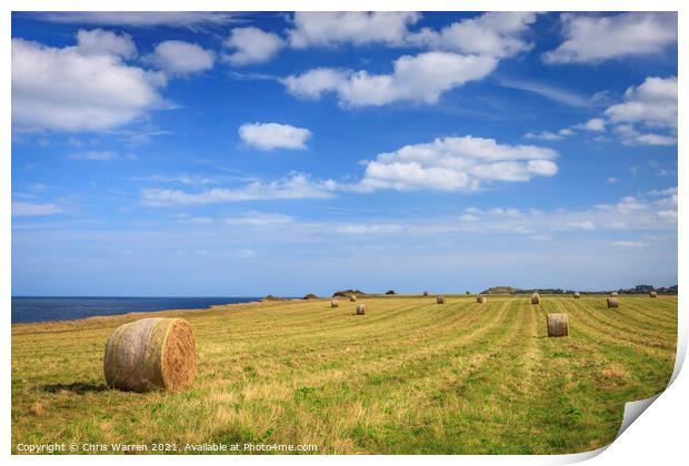 Hay bales field Weybourne Norfolk Print by Chris Warren