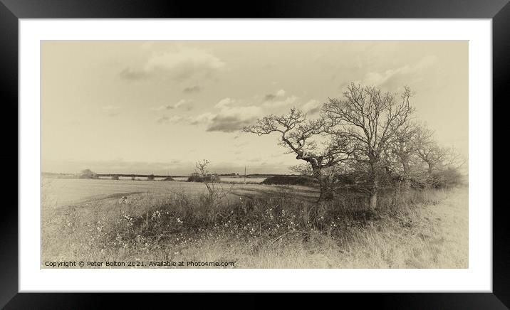 Antique style monochrome landscape at Hullbridge, Essex Framed Mounted Print by Peter Bolton