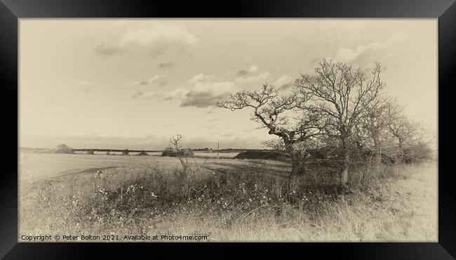 Antique style monochrome landscape at Hullbridge, Essex Framed Print by Peter Bolton