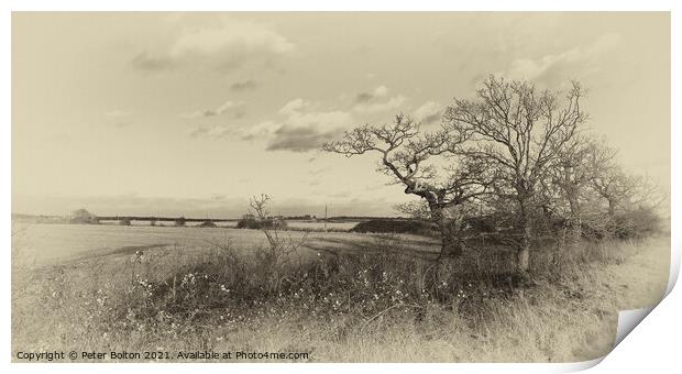 Antique style monochrome landscape at Hullbridge, Essex Print by Peter Bolton
