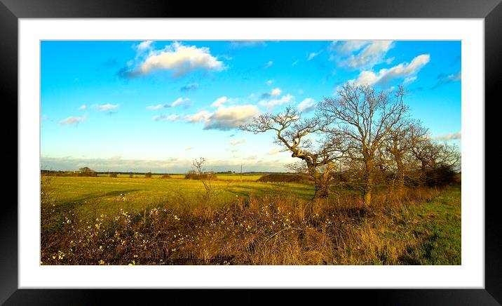Autumn at Hullbridge, Essex, UK. Framed Mounted Print by Peter Bolton