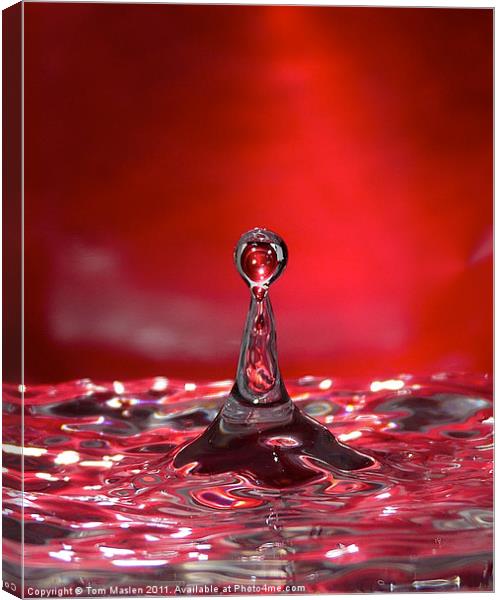 Ruby Ripples Canvas Print by Tom Maslen