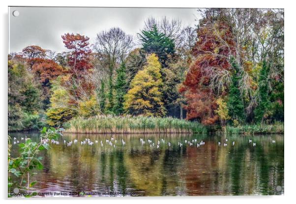 Hampden Park Lake Acrylic by Gareth Parkes
