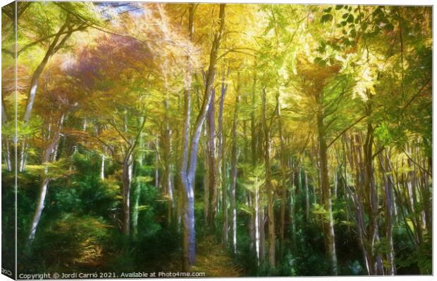 Grevolosa, beech forest in autumn - Picturesque Edition Canvas Print by Jordi Carrio