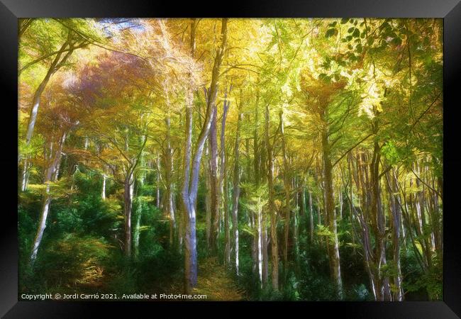 Grevolosa, beech forest in autumn - Picturesque Edition Framed Print by Jordi Carrio