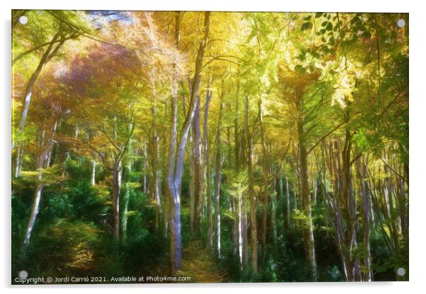 Grevolosa, beech forest in autumn - Picturesque Edition Acrylic by Jordi Carrio