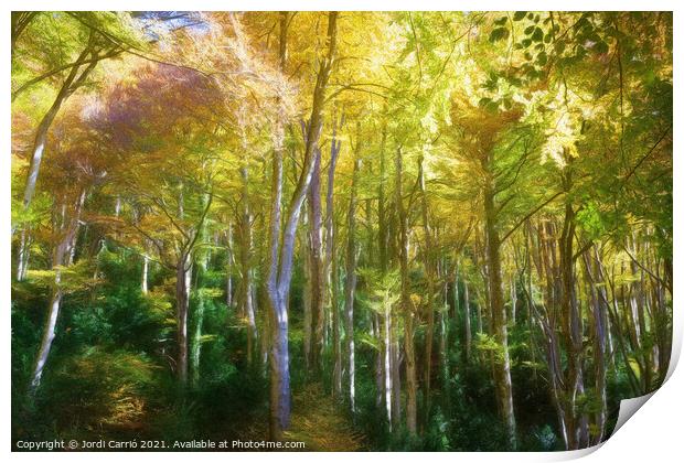 Grevolosa, beech forest in autumn - Picturesque Edition Print by Jordi Carrio