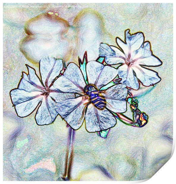 Garden Phlox Flower (Digital Art) Print by Kevin Maughan