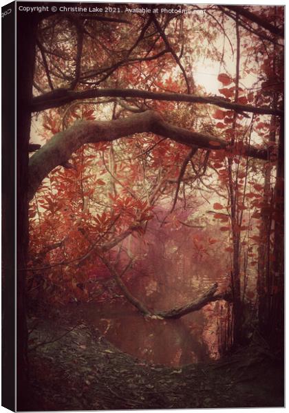 Autumn Dawn Canvas Print by Christine Lake