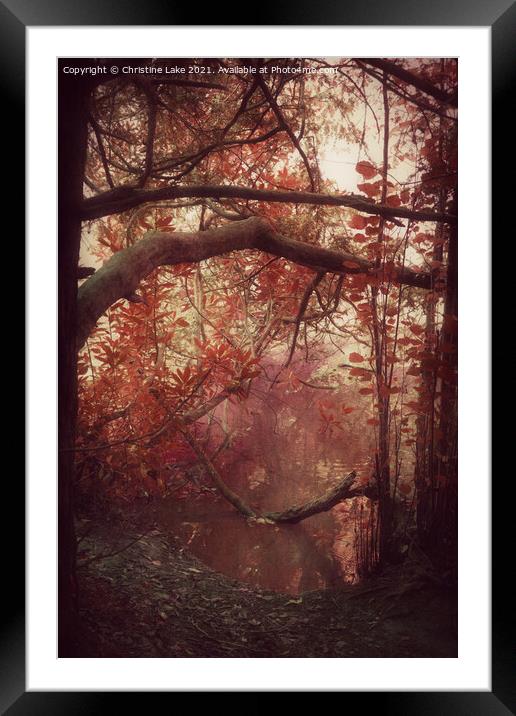 Autumn Dawn Framed Mounted Print by Christine Lake