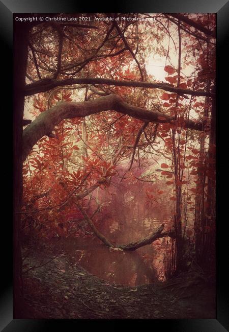 Autumn Dawn Framed Print by Christine Lake