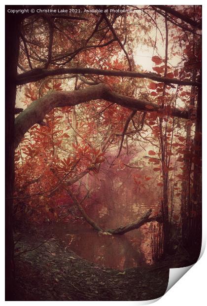 Autumn Dawn Print by Christine Lake