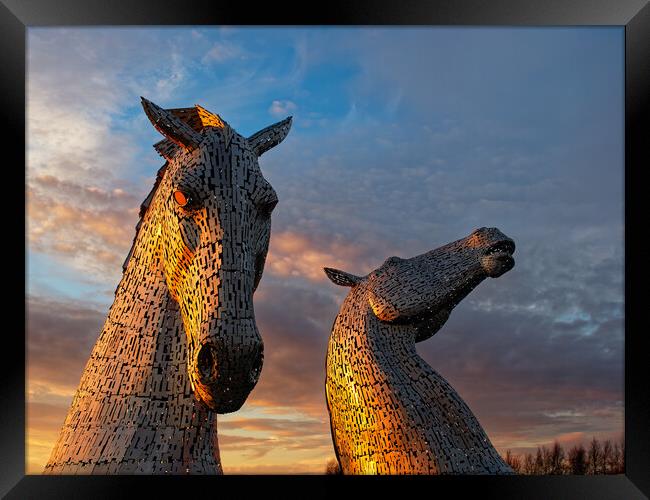 The Kelpies, Falkirk at sunset. Framed Print by Tommy Dickson