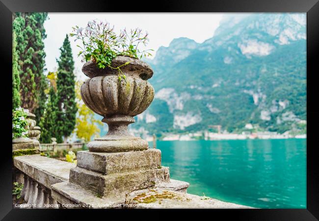 Elegant flower pots decorate the classic stone railing on a roma Framed Print by Joaquin Corbalan