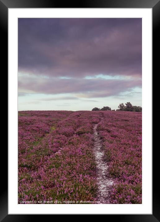 Heather field in the New Forest, UK Framed Mounted Print by KB Photo