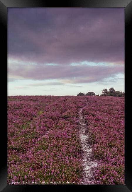 Heather field in the New Forest, UK Framed Print by KB Photo