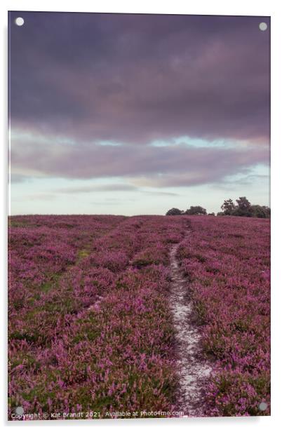 Heather field in the New Forest, UK Acrylic by KB Photo