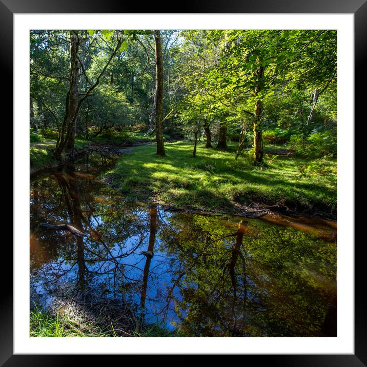 Enchanting Autumn Trail in The New Forest Framed Mounted Print by Derek Daniel