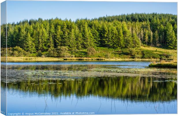 Loch Peallach reflections, Isle of Mull Canvas Print by Angus McComiskey