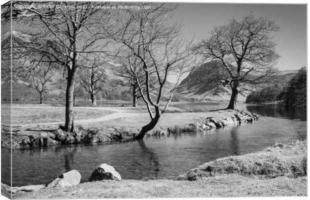 Buttermere Lake District Black and White Canvas Print by Pearl Bucknall