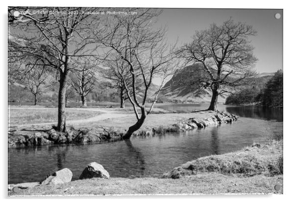 Buttermere Lake District Black and White Acrylic by Pearl Bucknall