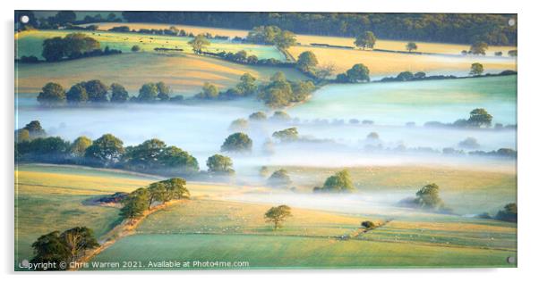 Early morning mist over the fields  Acrylic by Chris Warren