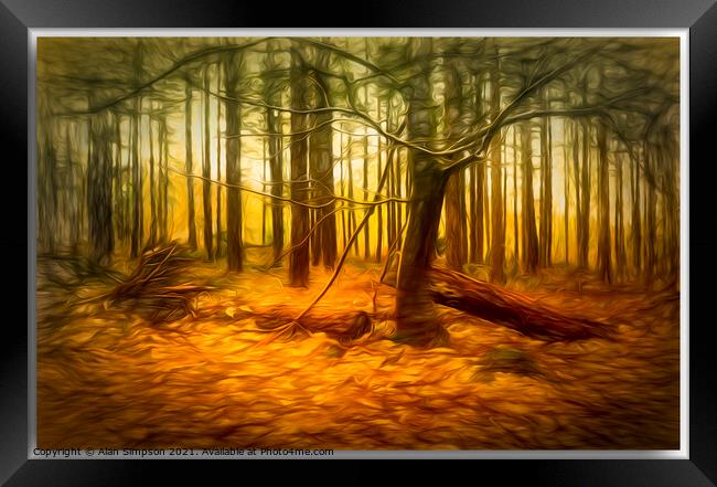Autumn Woods (abstract) Framed Print by Alan Simpson