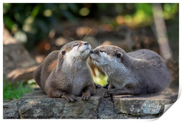 Otter kisses Print by Fiona Etkin