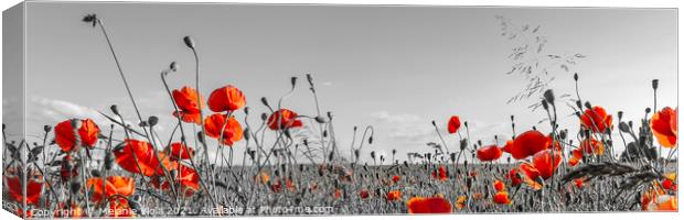Lovely Poppy Field | panoramic view Canvas Print by Melanie Viola