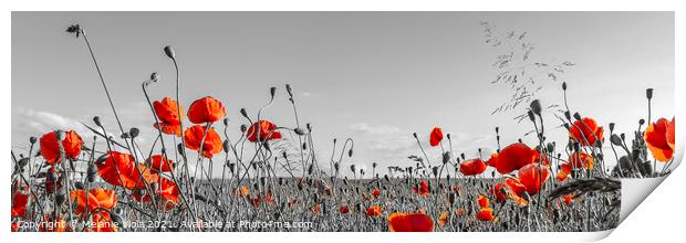 Lovely Poppy Field | panoramic view Print by Melanie Viola