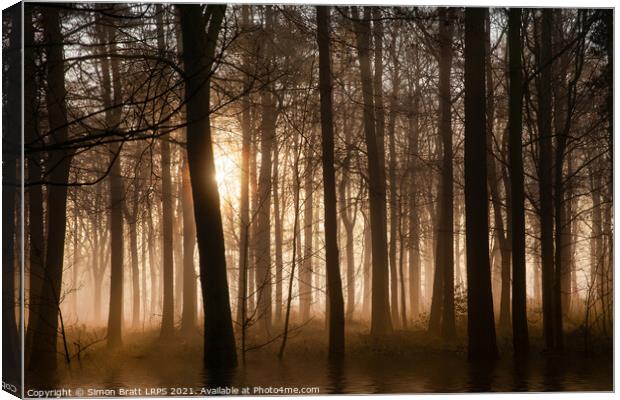 Winter forest at sunrise with mist and fog Canvas Print by Simon Bratt LRPS
