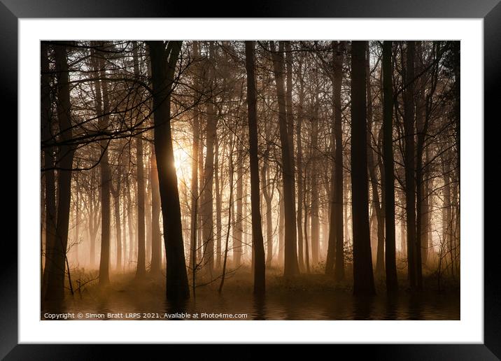 Winter forest at sunrise with mist and fog Framed Mounted Print by Simon Bratt LRPS