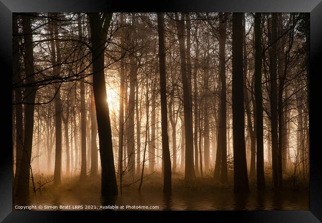 Winter forest at sunrise with mist and fog Framed Print by Simon Bratt LRPS