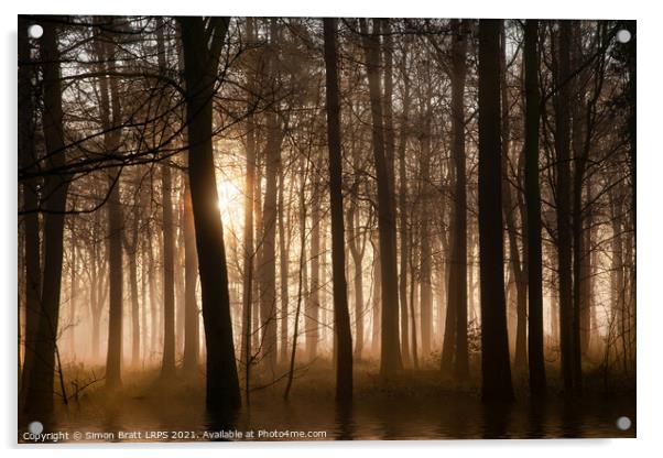 Winter forest at sunrise with mist and fog Acrylic by Simon Bratt LRPS