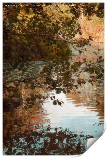 Leaf Reflections Print by Christine Lake