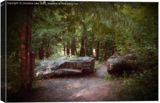 Path In The Forest Canvas Print by Christine Lake