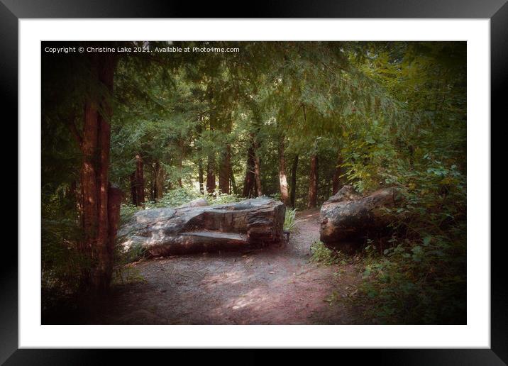 Path In The Forest Framed Mounted Print by Christine Lake