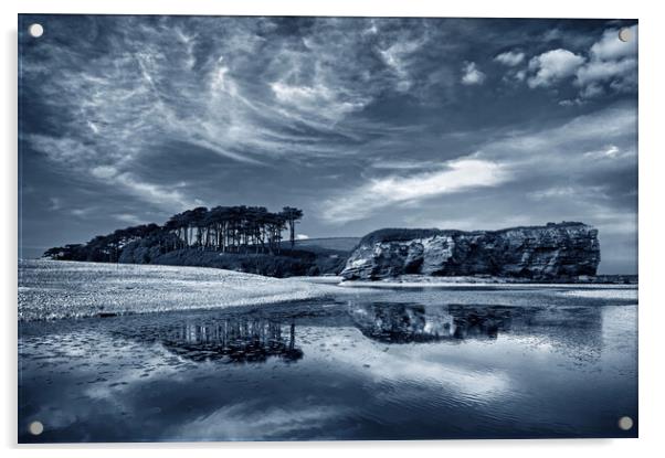 Coastline at Budleigh Salterton Acrylic by Darren Galpin