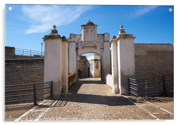 Puerta de Palmas entrance in Badajoz, Spain Acrylic by Luis Pina