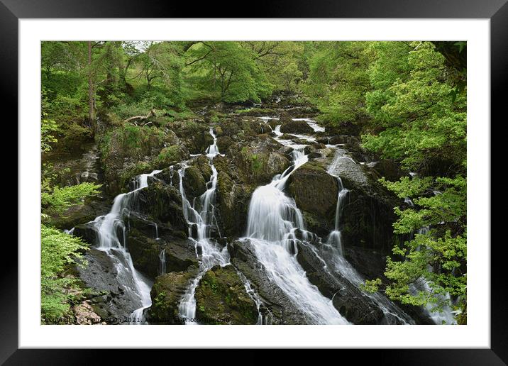 Swallow Falls cascading waterfall  Framed Mounted Print by Fiona Etkin