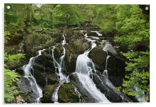 Swallow Falls cascading waterfall  Acrylic by Fiona Etkin