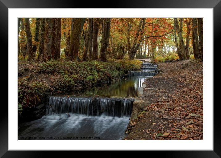 Tehidy Flowing falls Framed Mounted Print by Fiona Etkin