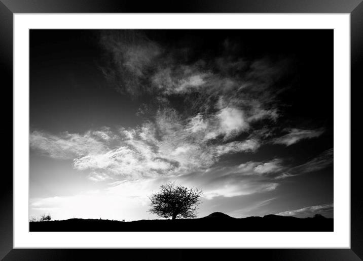 tree and clouds Framed Mounted Print by Simon Johnson