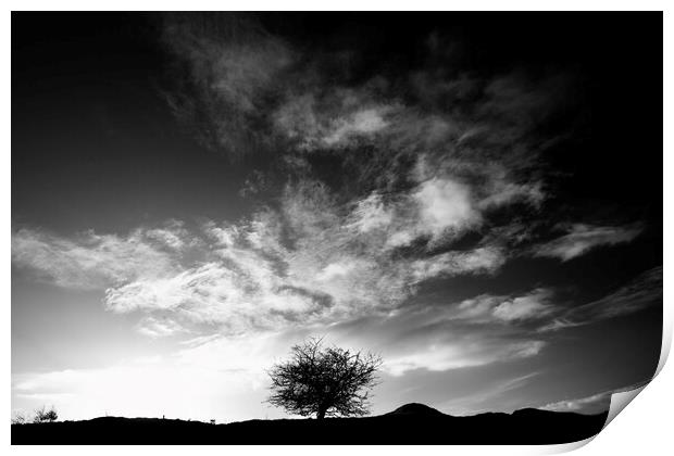 tree and clouds Print by Simon Johnson