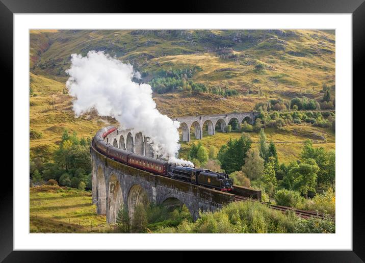 Glenfinnan Viaduct and the Hogwarts Express Framed Mounted Print by Tony Keogh