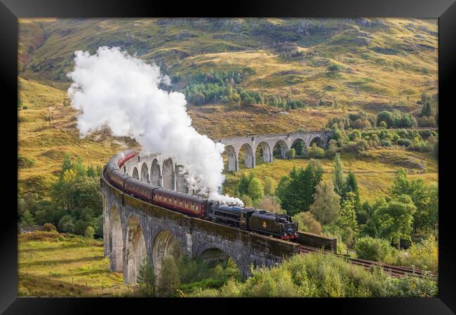Glenfinnan Viaduct and the Hogwarts Express Framed Print by Tony Keogh