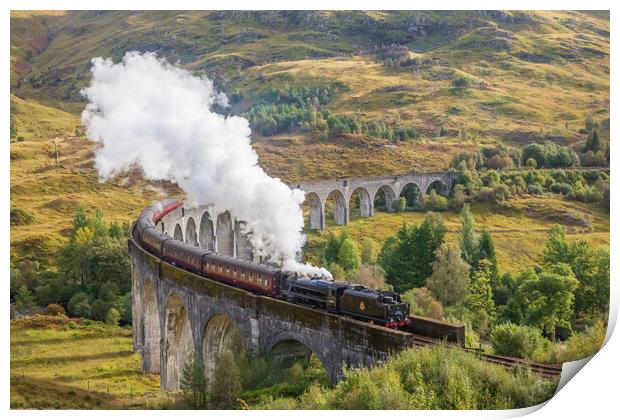 Glenfinnan Viaduct and the Hogwarts Express Print by Tony Keogh
