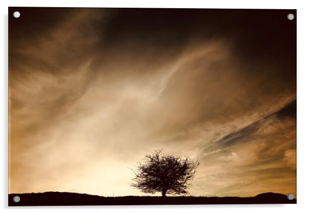 Sky cloud and tree Acrylic by Simon Johnson
