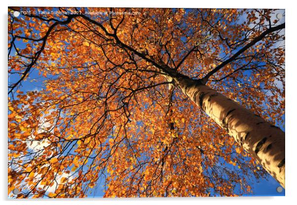 Colorful Birch Tree, Betula, in Autumn Acrylic by Taina Sohlman