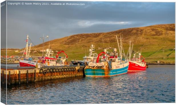 Fishing Boats in Scalloway Harbour, Shetland Isles Canvas Print by Navin Mistry